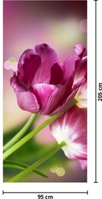 Fotótapéta ajtóra - Rózsaszín tulipán (95x205cm)