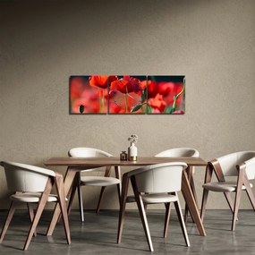 Kép - pipacsok (órával) (90x30 cm)