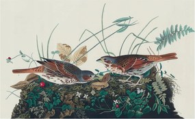 Flizelin fotótapéta Flizelin Design A természet varázsa 416x254 Ragasztó