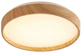 Rabalux 71143 - LED Mennyezeti lámpa LEANA LED/12W/230V 3000K átm. 26 cm