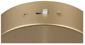 Aranyszínű LED függőlámpa ø 14 cm Cala – Trio Select