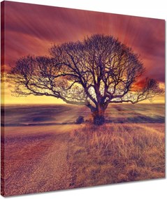 Vászonkép 40x40 Fa