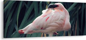Kép - Flamingó (120x50 cm)