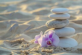 Canvas Vászonkép Tengerpart Zen Kövek Orchidea Egyensúly 60x40