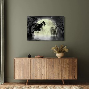 Kép - Telihold a felszín felett, fekete-fehér változat (90x60 cm)