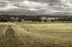 Poszter 91,5x60cm Szénakazalok a mezőkön 3, Assaf Frank