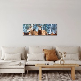 Kép - Szarvas csorda (órával) (90x30 cm)