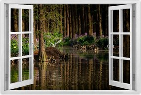 Poszterek 60x40 Tájkép Látvány