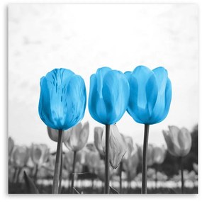 Gario Vászonkép Kék tulipánok Méret: 40 x 40 cm