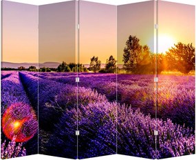 Paraván - Levandula mező (210x170 cm)