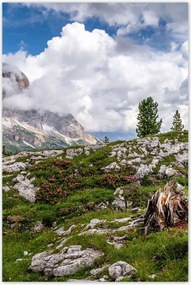 Poszterek 60x90 Bárány a hegyekben Kilátás