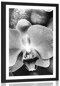 Poszter paszportuval csodás orchidea és kő fekete fehérben