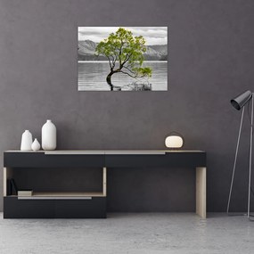 Fa képe a tó közepén (70x50 cm)