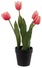 Művirág (magasság 31 cm) Tulips – Ixia