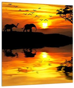 Afrikai tájkép és elefánt képe (30x30 cm)