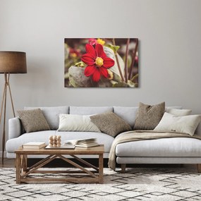 Virág képe (90x60 cm)