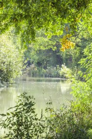 Poszter 30x45cm Basingstoke csatorna, Assaf Frank