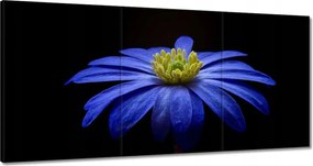 Vászonkép 180x90 Kék virág