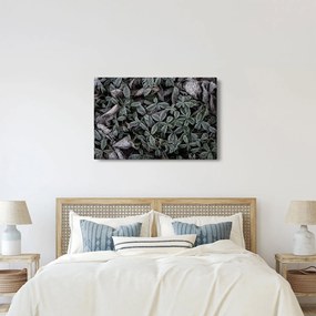 Kép - Fagyasztott növények (90x60 cm)