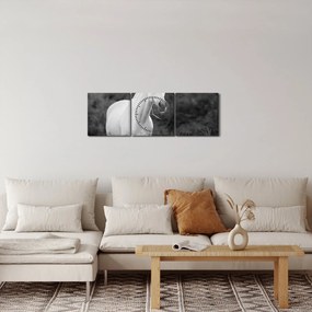 Egy fehér ló képe egy réten, fekete-fehér (órával) (90x30 cm)