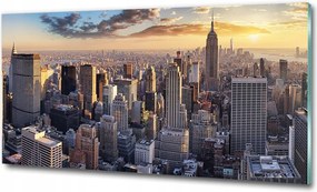 Fotó üvegkép New York madár repülés 100x50