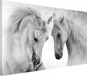 Modern vászonkép a nappaliba Lovak szürke 80x120