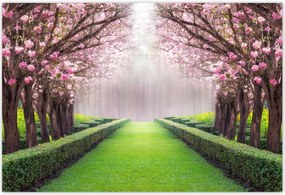 Poszterek 200x135 Gyönyörű virágok a nappaliba