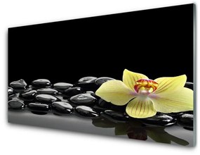 Modern üvegkép Fekete virág Kitchen 100x50 cm