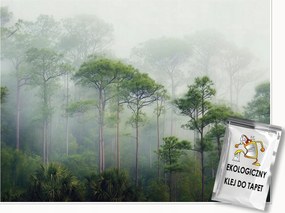 3D Fotótapéta Erdő Fák Köd Zöld Falra Hálószoba Nappali 250x175