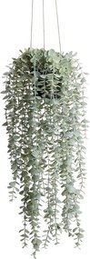 FLORISTA eukaliptusz felakasztható cserépben 65 cm