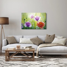 Kép - Pipacsok (90x60 cm)