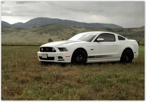 Fotótapéta flizelina 368x254 fehér Ford Mustang