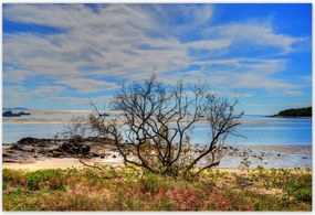 Poszterek 200x135 Kilátás a tengerpartról
