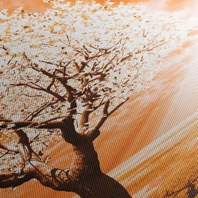 Narancssárga fa képe (órával) (90x30 cm)