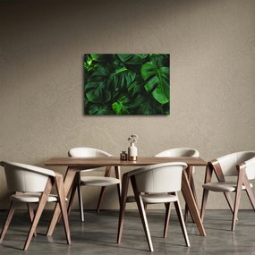 Monstery levelek képe (70x50 cm)