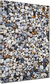 Vászonkép 70x100 Tengeri kövek nyomtatás
