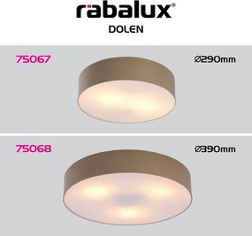 RÁBALUX 75067 DOLEN Modern Kültéri Mennyezeti Lámpa Grézs E27 IP44