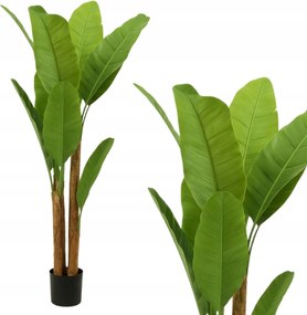 Banánfa Cserépben 160 cm Nagy, Mint Egy Élő Növény Fa Virág