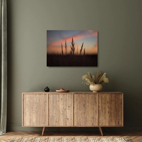 Kép - A növény sziluettje (üvegen) (70x50 cm)