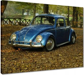Vászonkép 50x40 Bogár Vw autó]