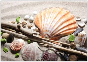 Poszterek 100x70 Kagylók a balti tengerpartról
