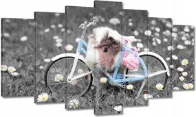 Vászonkép 140x80 Tengerimalac kerékpárral