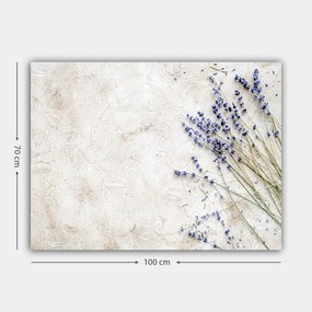 Vászonkép, 70×100 cm – TR441HPE2718