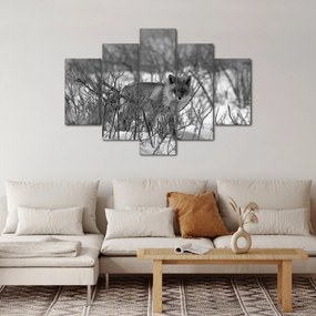 Kép - Róka télen (150x105 cm)