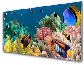 Akril üveg kép Barrier Reef Nature 100x50 cm 2 fogas