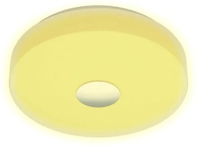 Eglo 96819 - BERAMO-C LED RGB stropní svítidlo, stmívatelné, 17W, 230V