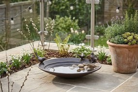 Piep-Pool madáritató - Philippi