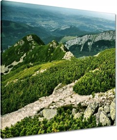 Vászonkép 60x60 Tátra Lengyel hegyek Kilátás
