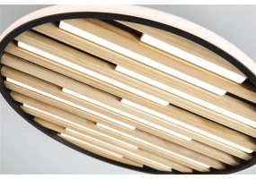 Searchlight 80980-49BK - LED fényerőszabályozható mennyezeti lámpa EQUALISE LED/33W/230V