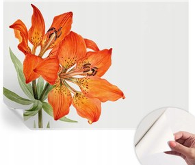 Dekoratív Öntapadós Tapéta Divatos Minták Narancs liliom 208x146 cm